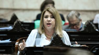 Litza: “No se puede gobernar de espaldas al Congreso y a puro decreto”