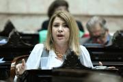 Litza: “No se puede gobernar de espaldas al Congreso y a puro decreto”