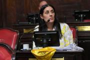 Vanneli admitió el "momento de dispersión" del peronismo y puntualizó: "Lo que está en discusión son algunos liderazgos"
