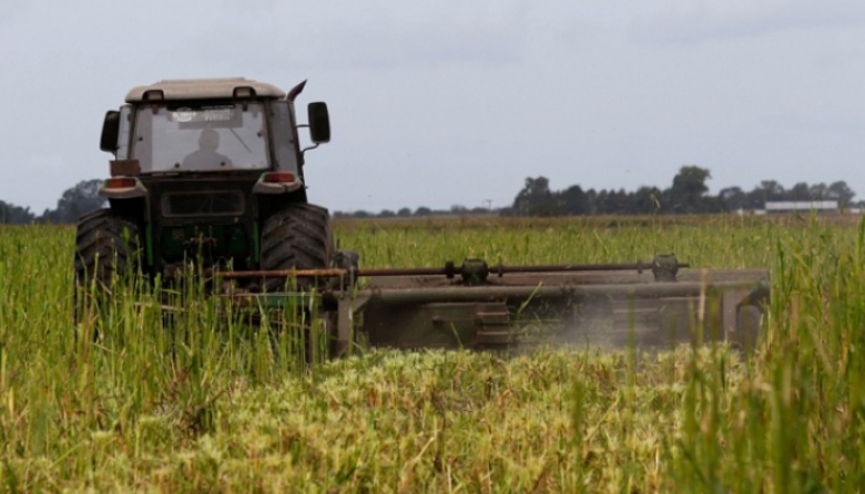 El Gobierno bonaerense lanzó nuevas medidas para el sector agropecuario