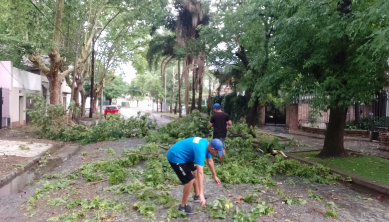 Realizaron trabajos de desobstrucción de desagües y despeje de ramas de las calles