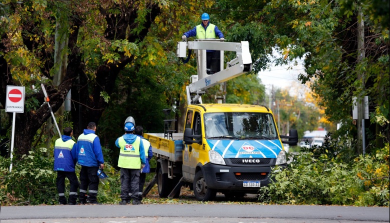 El Municipio realiza operativos de poda y corte de ramas para despejar luminarias, cámaras y semáforos