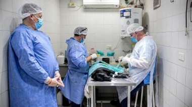 Zoonosis Brown llega a Ministro Rivadavia con jornadas de castración