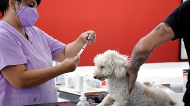 Zoonosis Brown realizará nuevas jornadas de vacunación antirrábica
