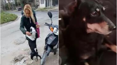 La víctima del "Clan Juárez" pudo recuperar a sus perros