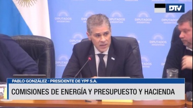 El titular de YPF defendió el régimen de promoción del Gas Natural Licuado
