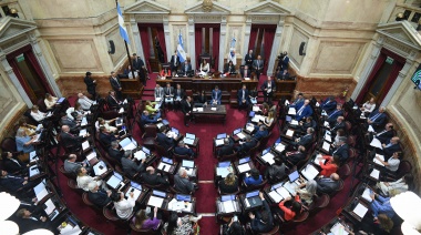 Duro revés para el Gobierno: El Senado rechazó el mega DNU por mayoría