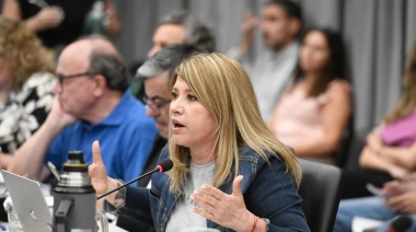Litza: “Si no hay plata para la producción y la educación, menos para la caja negra de la SIDE”