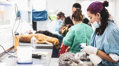Zoonosis Brown profundiza la descentralización y desembarcó en Glew con un exitoso operativo