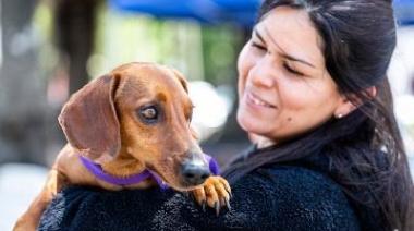 Conmemoran el "día del animal" con una nueva campaña de castraciones masivas