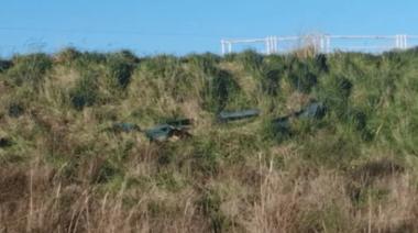 Detuvieron a un hombre que fue a cobrar la pensión de una jubilada encontrada muerta