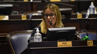 Ruiz aseguró que es un “escándalo” la compra del avión por parte del Ministerio de Seguridad bonaerense