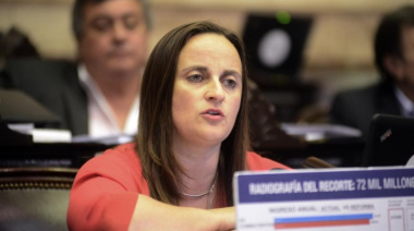 Passo: “Es muy triste ver como el oficialismo y sus aliados se abroquelan en contra de los jubilados"