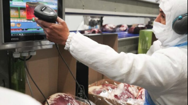 La caída del consumo de carne impacta en la industria frigorífica: despidos y cierres