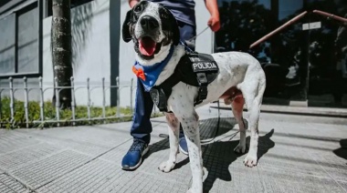 Caso María Luján Barrios: Piden que “Falopa”, el perro policía de Jujuy participe de la búsqueda