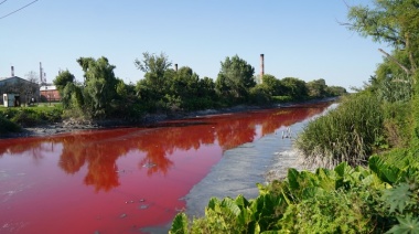 El agua roja de Avellaneda: Ferraresi, desidia y ocultamiento de la tuberculosis