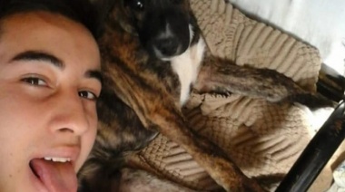 El dueño del perro envenenado en Temperley teme que la denuncia “quede en la nada”
