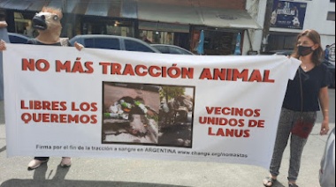 Denuncian que "hay chatarreras y lugares de reciclado que alquilan" caballos para explotarlos