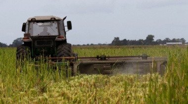 El Gobierno bonaerense lanzó nuevas medidas para el sector agropecuario