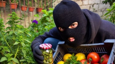 Medidas que conspiran contra el crecimiento de distintos productores