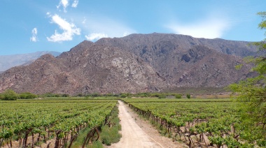 La cuestión de la tierra es una cuestión de soberanía