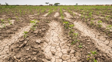 Piden incluir en la emergencia nacional a los distritos bonaerenses afectados por la sequía