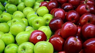 Los precios de los agroalimentos se multiplicaron por 3,4 veces en noviembre