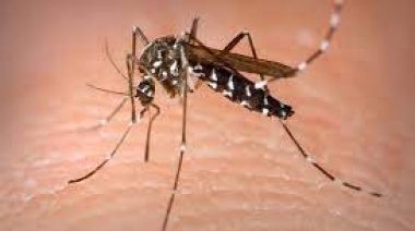 Recomiendan reforzar medidas de prevención frente al ascenso de casos de dengue