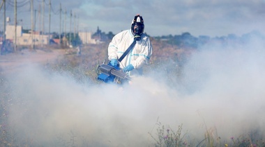 Profundizan las medidas para prevenir el dengue en Brown