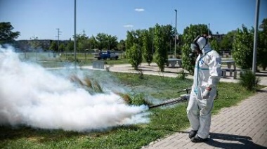 El Municipio profundiza los trabajos de fumigación