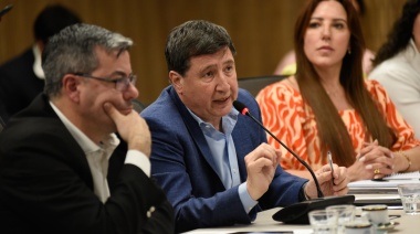 Arroyo señaló que el Gobierno “debería buscar construir una mayoría” porque “no se puede vivir de veto en veto”