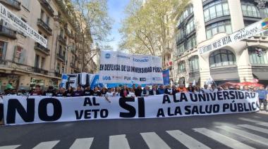 Ley aprobada pero en duda: “Es una situación inédita para la democracia argentina”, sostuvo Calzoni