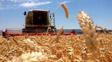 Desde la CARBAP alertan: “No se ve una solución en el corto plazo”