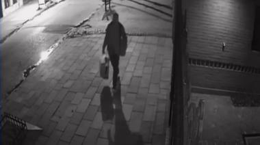 Entraron a robar en una escuela y se llevaron hasta un busto de Sarmiento