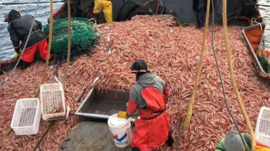 El Centro de Patrones Fluviales respalda al INIDEP y rechaza la pesca de langostino en el Golfo San Jorge