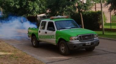 Continúan las fumigaciones de prevención contra el dengue