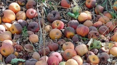 Crisis en el sector frutícola