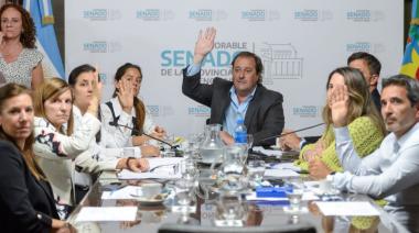 El peronismo no tiene garantizada la sanción de emergencias médicas en el Senado