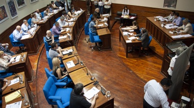 El Cuerpo repudió de forma unánime el golpe de Estado en Bolivia