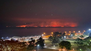 Gremios portuarios piden medidas para frenar los incendios forestales