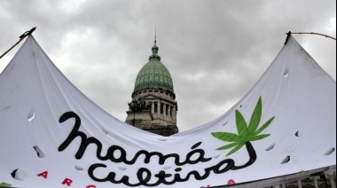 Mamá Cultiva celebró la iniciativa del Ejecutivo que busca impulsar la producción nacional del cannabis