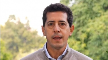 De Pedro anunció su precandidatura a presidente con un video en redes