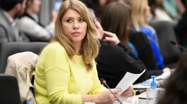 Litza: "En 9 meses Milei profundizó dramáticamente la pobreza"