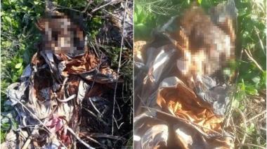 Encontraron restos humanos al costado de la autopista Jorge Newbery