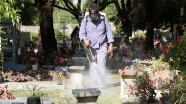 El Municipio profundiza la fumigación y las recomendaciones contra el Dengue