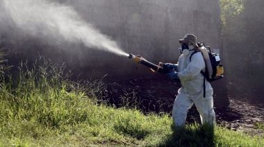 La otra pandemia: siguen creciendo los casos de dengue en la región