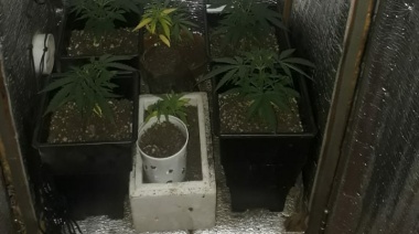 Desalojan a un hombre que usaba un terreno usurpado como invernadero de marihuana