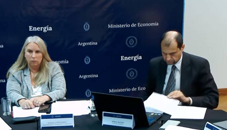 Presentaron el nuevo esquema de subsidios para gas y luz - Política del Sur
