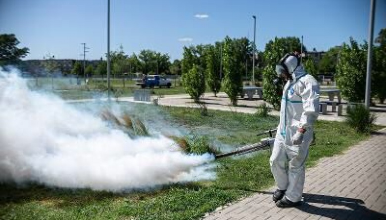 El Municipio profundiza los trabajos de fumigación - Política del Sur