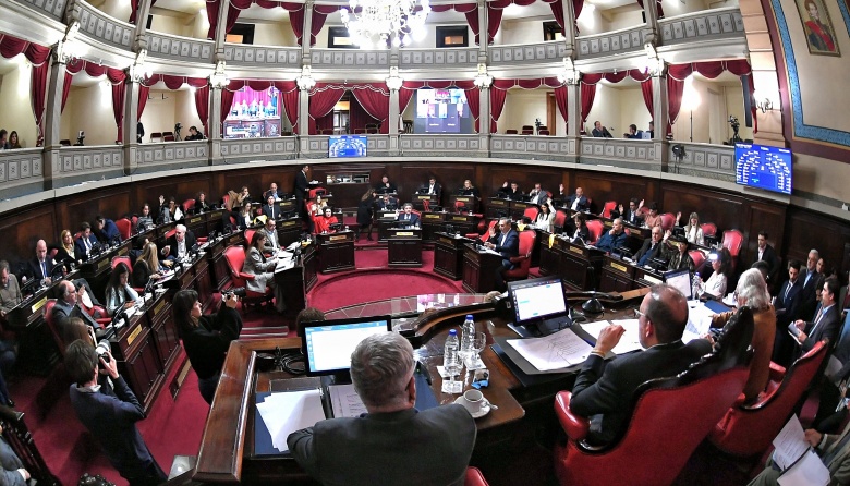 El Senado avanzó con la media sanción a la Ley de Endometriosis ...